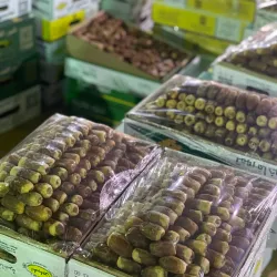 Al Zulfi Date Market - Az Zulfi