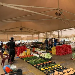 Al Zulfi Date Market - Az Zulfi