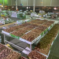 Al Zulfi Date Market - Az Zulfi