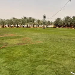 Al Zulfi Fort - Az Zulfi