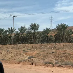 Al Zulfi Park - Az Zulfi