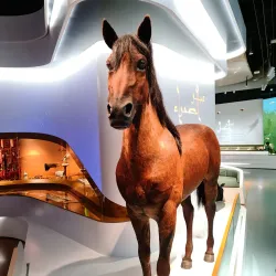 King Abdulaziz Center for World Culture (Ithra) - Dhahran (Az-Zahran)