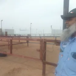 Al Batin Camel Market - Hafar Al Batin