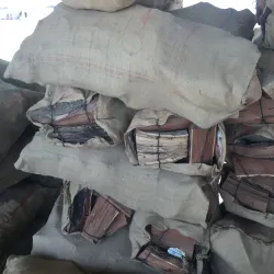 Al Batin Camel Market - Hafar Al Batin