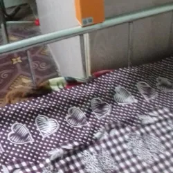 Al Batin Camel Market - Hafar Al Batin