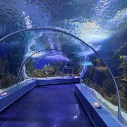 Fakieh Aquarium - Jeddah (Jiddah)