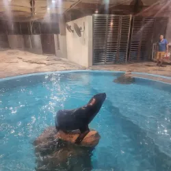 Fakieh Aquarium - Jeddah (Jiddah)