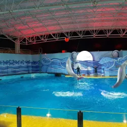 Fakieh Aquarium - Jeddah (Jiddah)