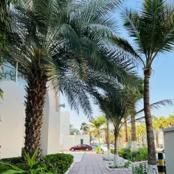 Floating Mosque (Al Rahma Mosque) - Jeddah (Jiddah)