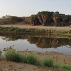 Al-Darb Village - Jizan