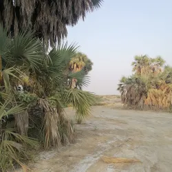 Al Khoubah Hot Springs - Jizan