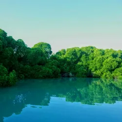 Farasan Islands - Jizan