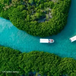 Farasan Islands - Jizan