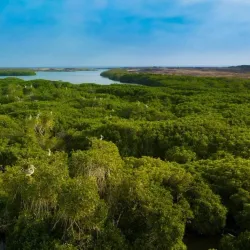 Farasan Islands - Jizan