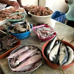 Jizan Fish Market - Jizan