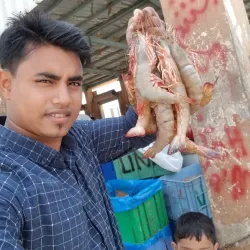 Jizan Fish Market - Jizan