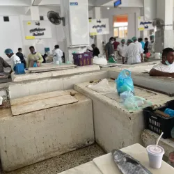 Jizan Fish Market - Jizan