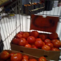 Sabya Market - Jizan