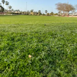 Al Fanateer Beach - Jubail