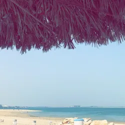 Al Nakheel Park - Jubail