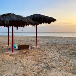 Al Nakheel Park - Jubail