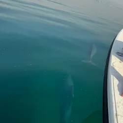 Jubail Marina - Jubail