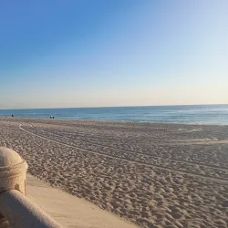 Fishing Harbor - Khafji