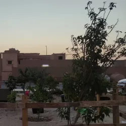 Khafji Desert - Khafji