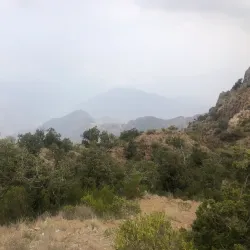 Al-Soudah Park - Khamis Mushayt