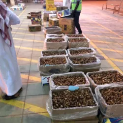 Al-Majma'ah Date Market - Maj'mah (Al Majma'ah)