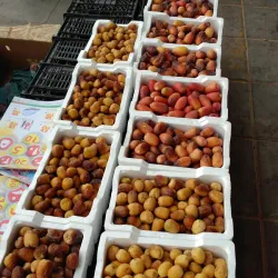 Al-Majma'ah Date Market - Maj'mah (Al Majma'ah)