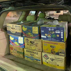 Al-Majma'ah Date Market - Maj'mah (Al Majma'ah)