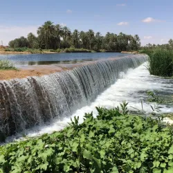 Al-Majma'ah Palm Grove - Maj'mah (Al Majma'ah)