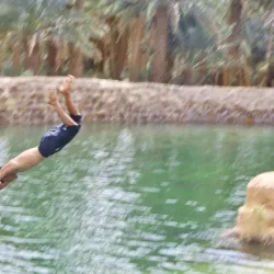 Al-Majma'ah Palm Grove - Maj'mah (Al Majma'ah)