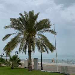 Al-Jubail Beach - Qatif