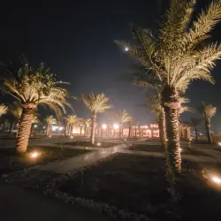 Al-Musawarah Archaeological Site - Qatif