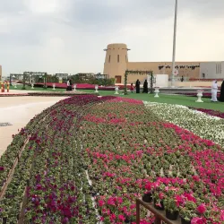 Al-Musawarah Archaeological Site - Qatif