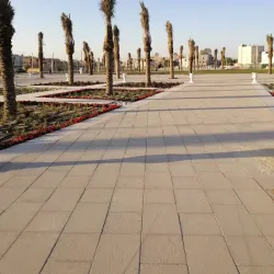 Al-Musawarah Archaeological Site - Qatif