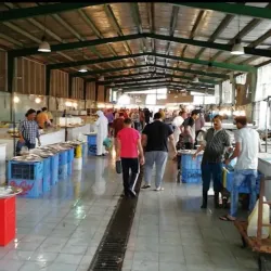 Al-Qatif Date Market - Qatif