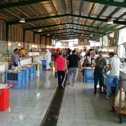 Al-Qatif Date Market - Qatif