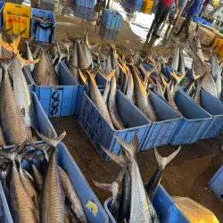 Al Qatif Souq - Qatif