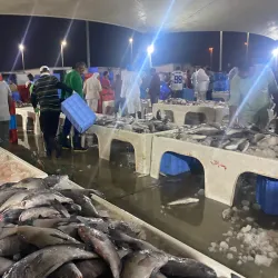 Al Qatif Souq - Qatif