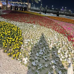 Qatif Corniche - Qatif