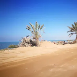 Al Nakheel Beach - Rabigh