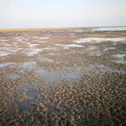 Al Nakheel Beach - Rabigh