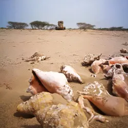 Al Nakheel Beach - Rabigh