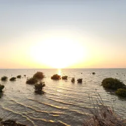 Al Nakheel Beach - Rabigh