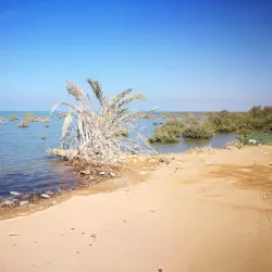 Al Nakheel Beach - Rabigh