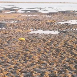 Al Nakheel Beach - Rabigh