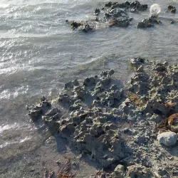 Al Shuaibah Beach - Rabigh